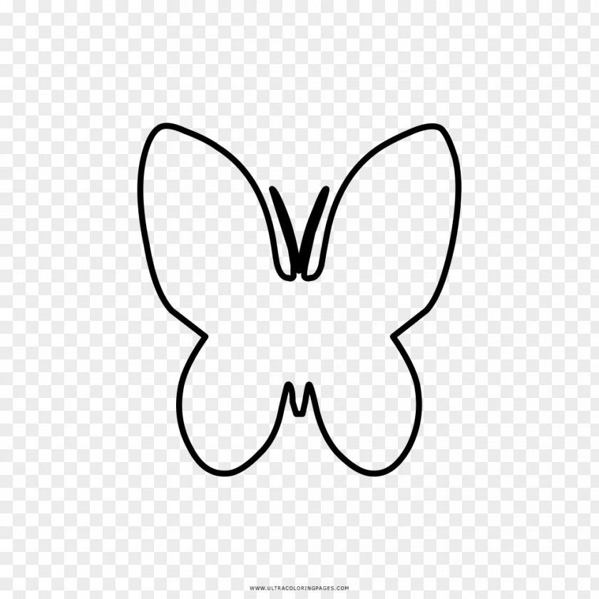 Butterfly Drawing Coloring Book Clip Art PNG