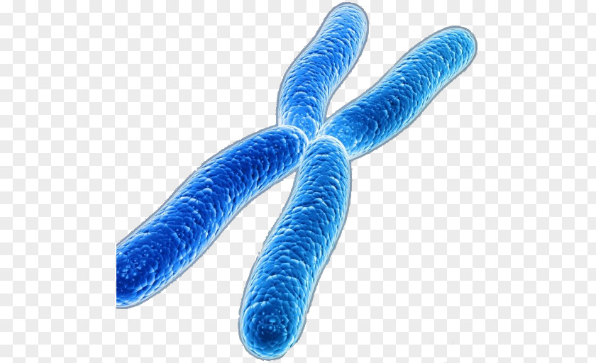 Galaxy Macau Chromosome Disease Genetics Medicine PNG