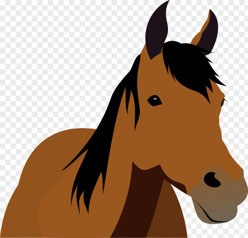 Horse Mare Stallion Equestrian Clip Art PNG