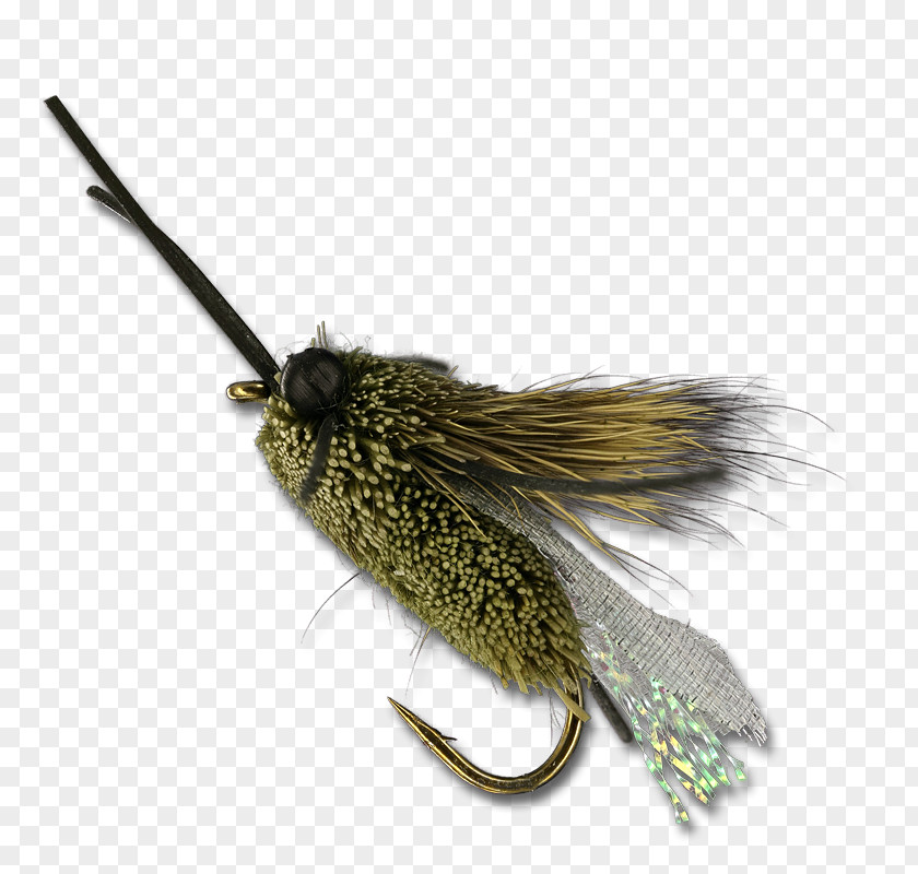 Insect Artificial Fly PNG