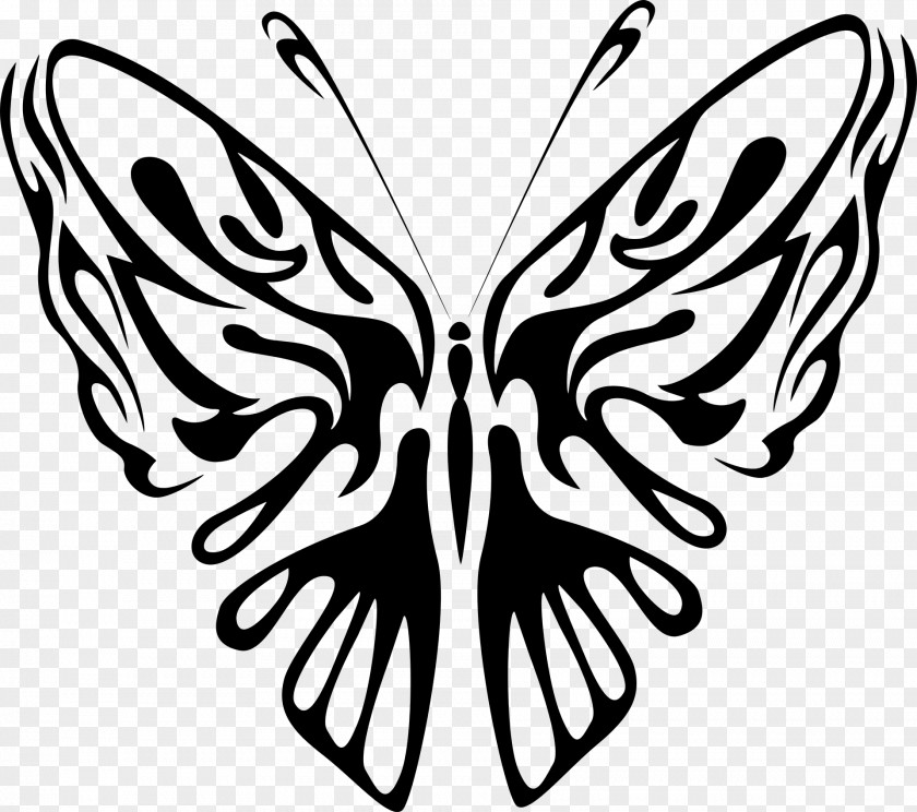 Line Art Butterfly Drawing Clip PNG