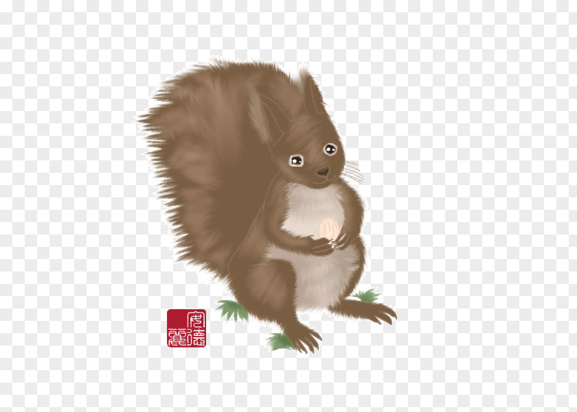 Squirrel Whiskers Fur Fauna Snout PNG