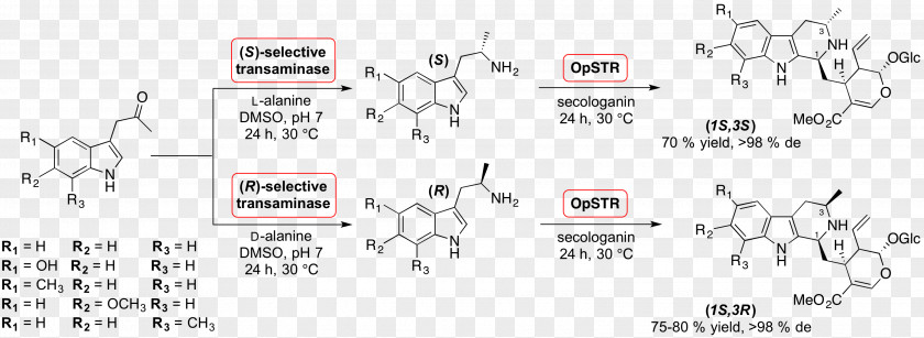 Strictosidine Catalysis Chemical Synthesis Pictet–Spengler Reaction Reserpine PNG