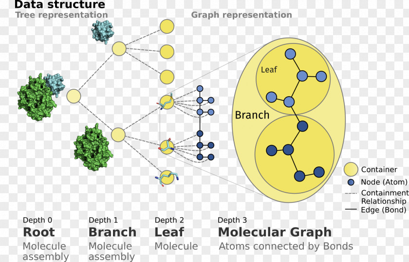 Biological Molecules Chart Information Product Design Tree Line Point PNG