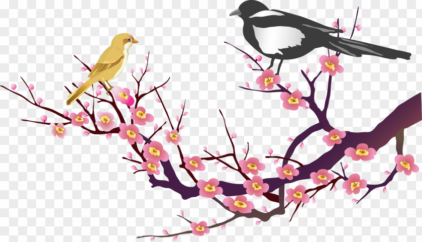 Design Plum Blossom Clip Art PNG