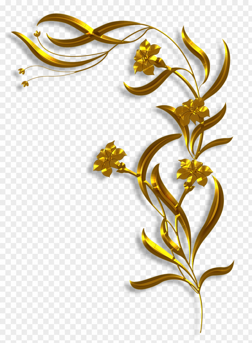 Flower Borders And Frames Floral Design Clip Art Vector Graphics PNG