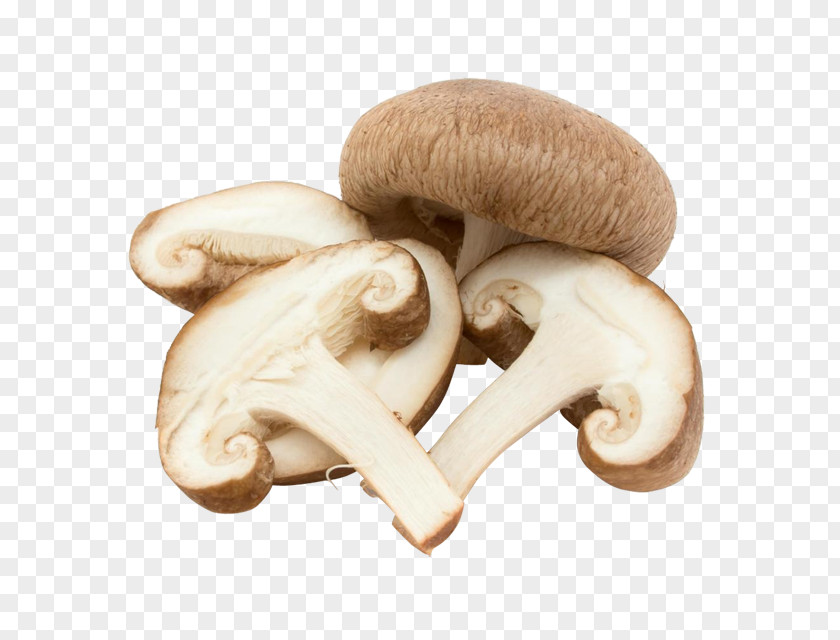 Mushroom Common Edible Fungus Vegetable PNG