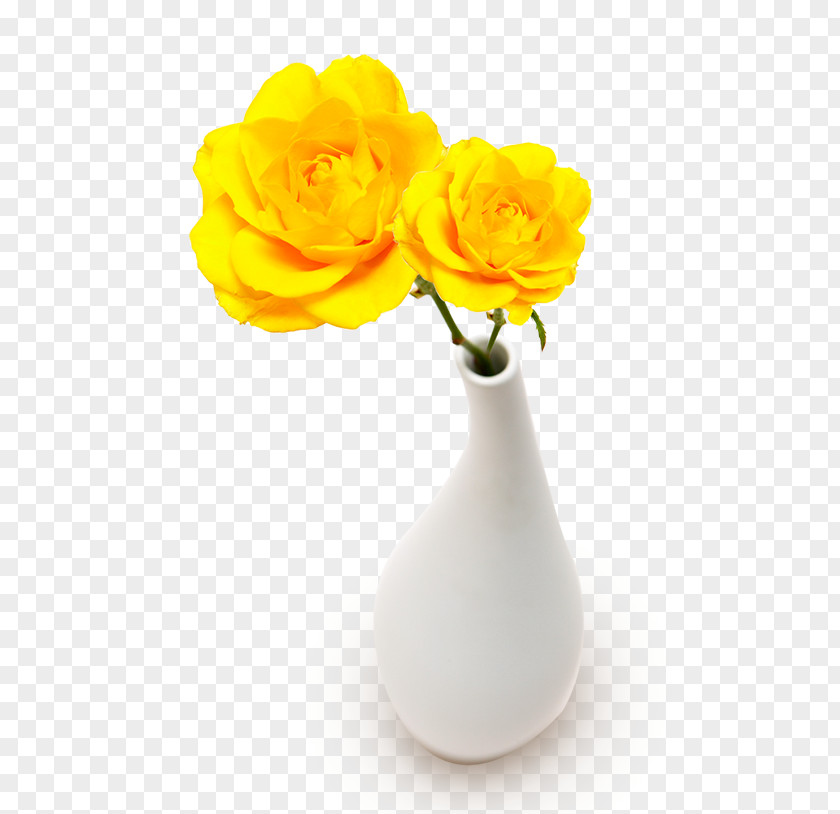 Vase Illustration PNG