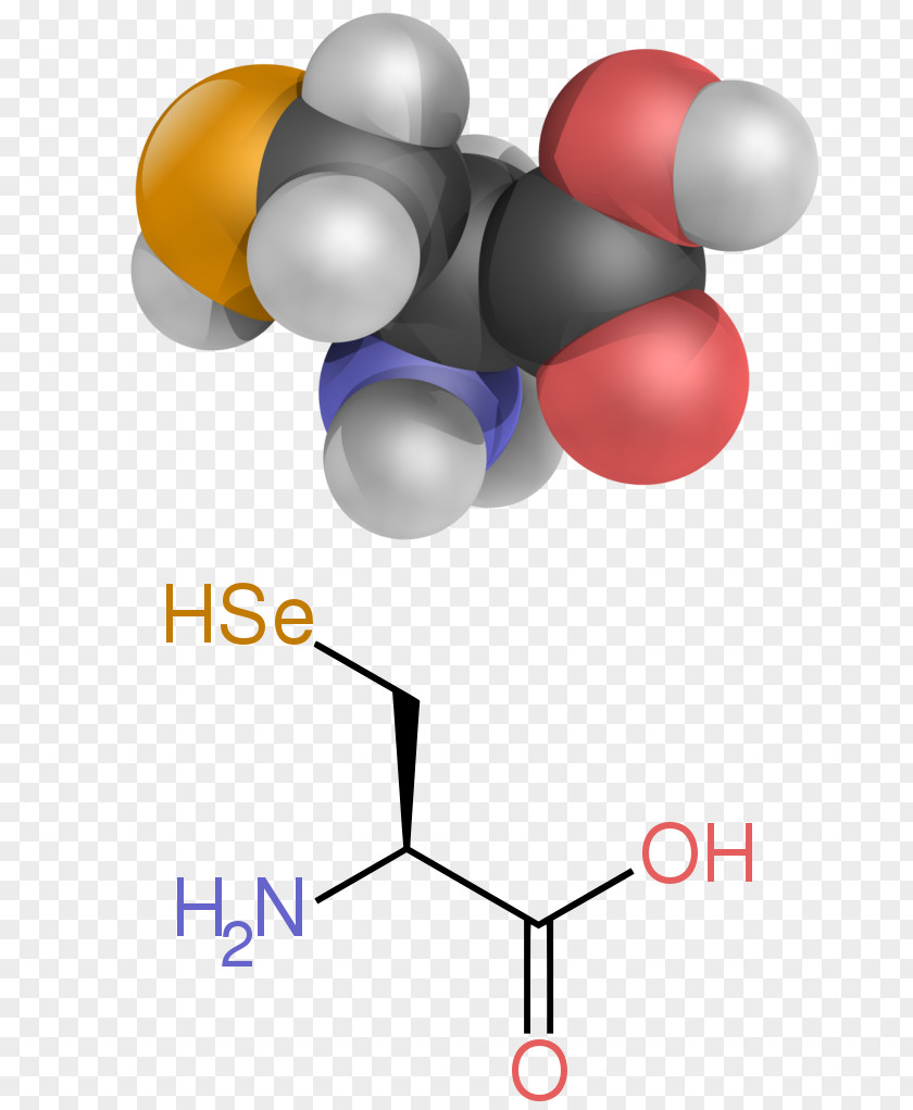 Amino Acid Amine Carboxylic Functional Group PNG