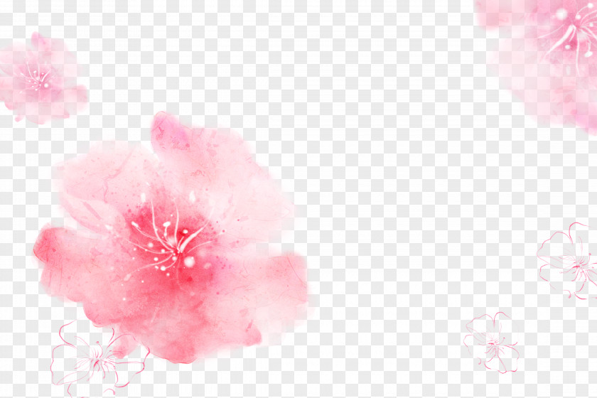 Beauty Makeup Pink Cherry Blossom Cosmetology Wallpaper PNG