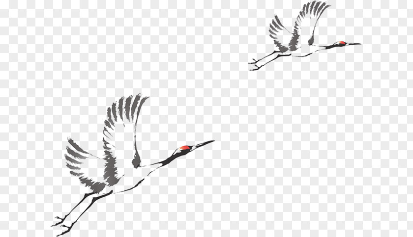 Crane Ink Bird PNG