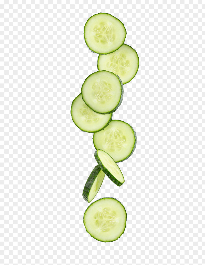 Cucumber Slices Vegetable Schnitzel Fruit PNG