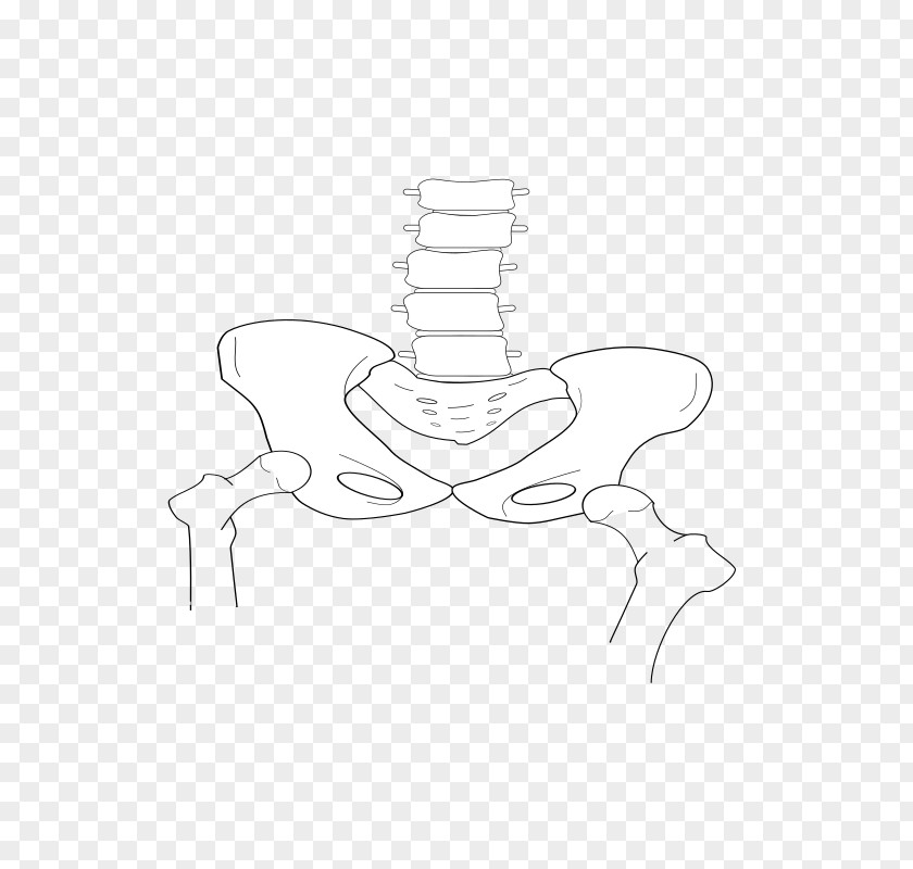 Design Finger Line Art Product Drawing PNG