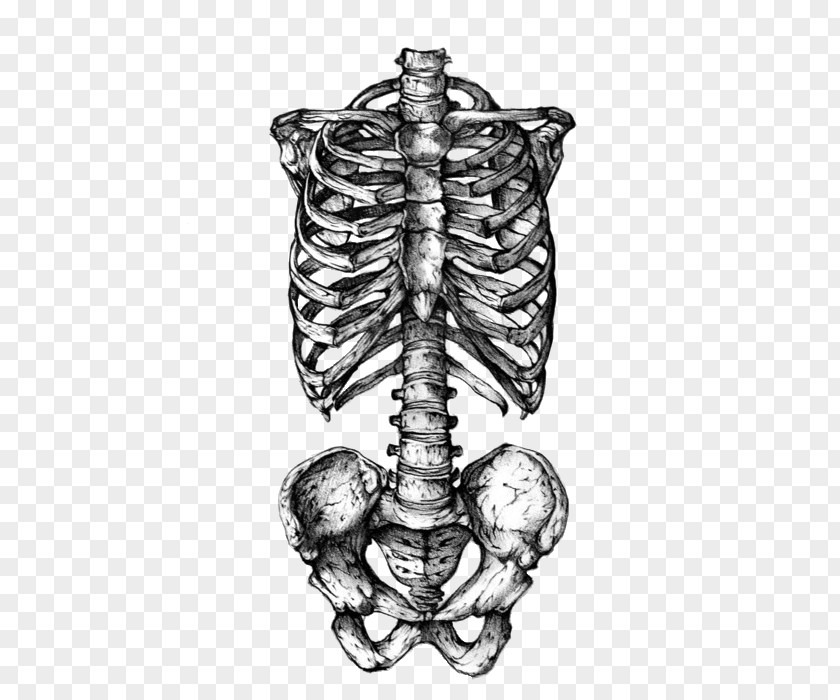 Flame Skull Rib Cage Human Skeleton Symbolism Tattoo PNG