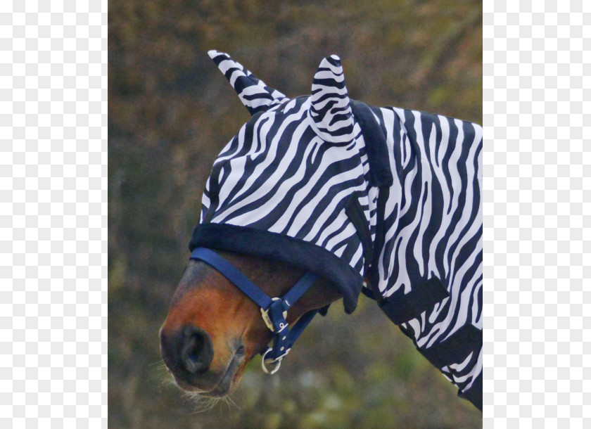 Horse Blanket Pony Equestrian Zebra PNG