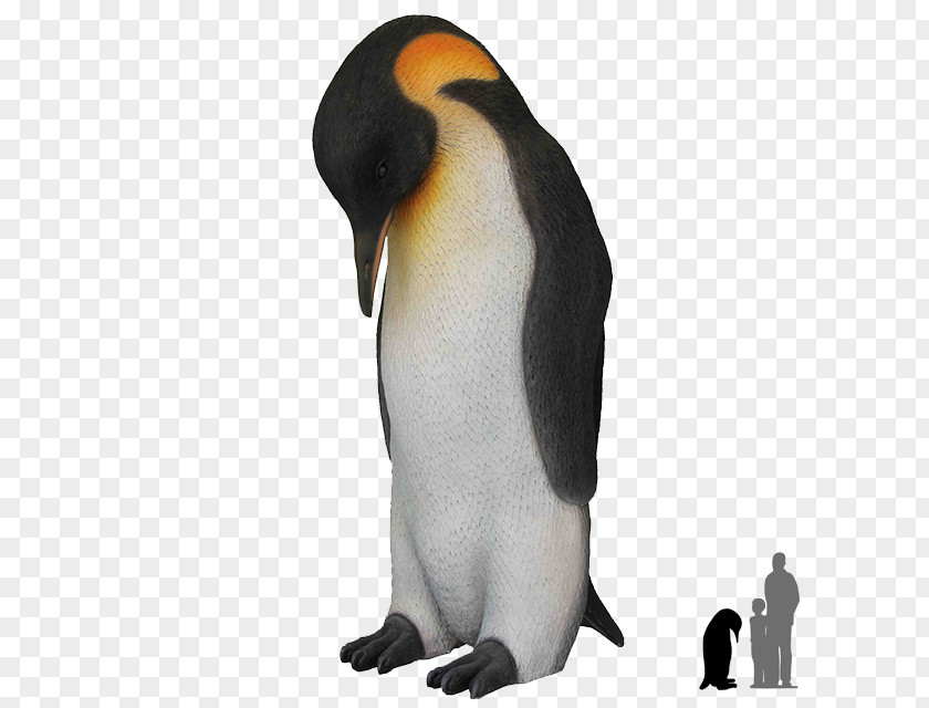 Penguins Emperor Penguin King Clip Art PNG