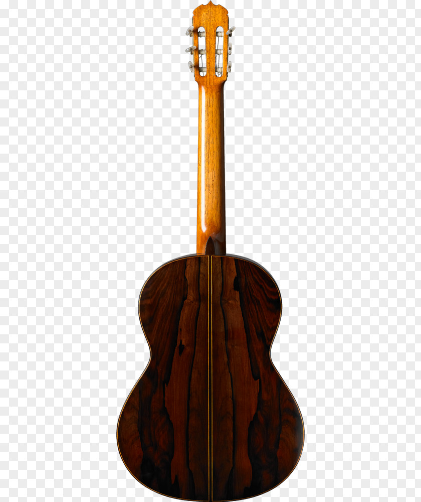 Acoustic Guitar Tiple Acoustic-electric Cavaquinho PNG