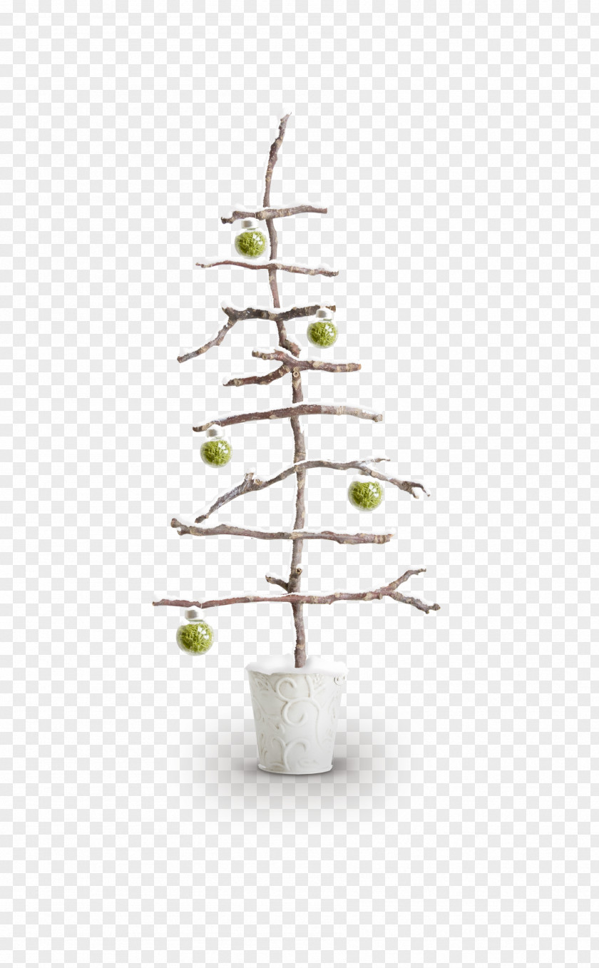 Ball Brown Twigs Frame Twig Christmas Branch PNG