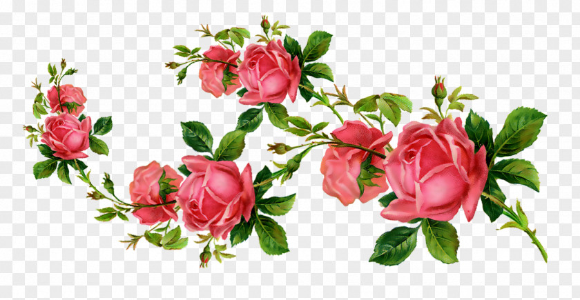 Flower Garden Roses Clip Art PNG