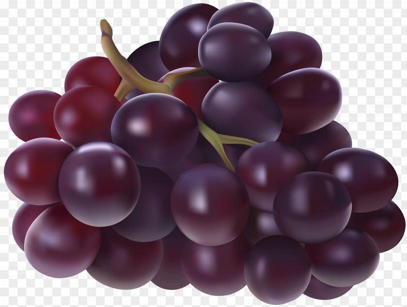 Grapes Transparent Image Juice Grape Fruit Clip Art PNG