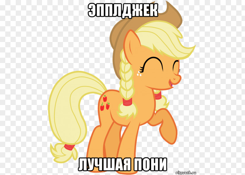 My Little Pony Applejack Rarity Rainbow Dash Pinkie Pie Twilight Sparkle PNG