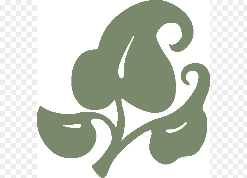 Ornament Green Psychology PNG