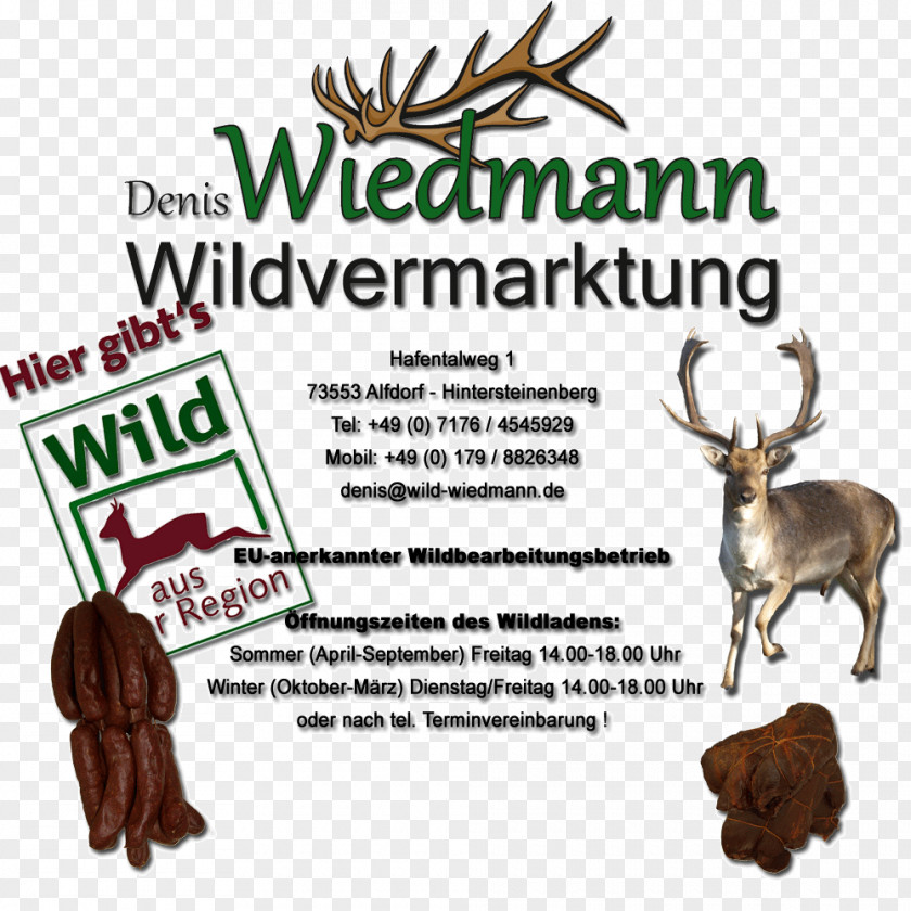Reindeer Antler Denis Wiedmann Wildvermarktung Font Tree PNG