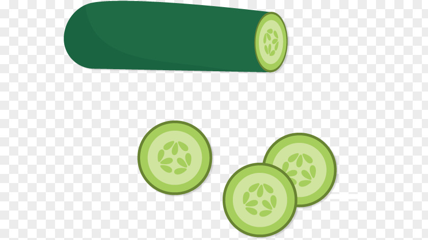 Vector Cucumber Drawing PNG