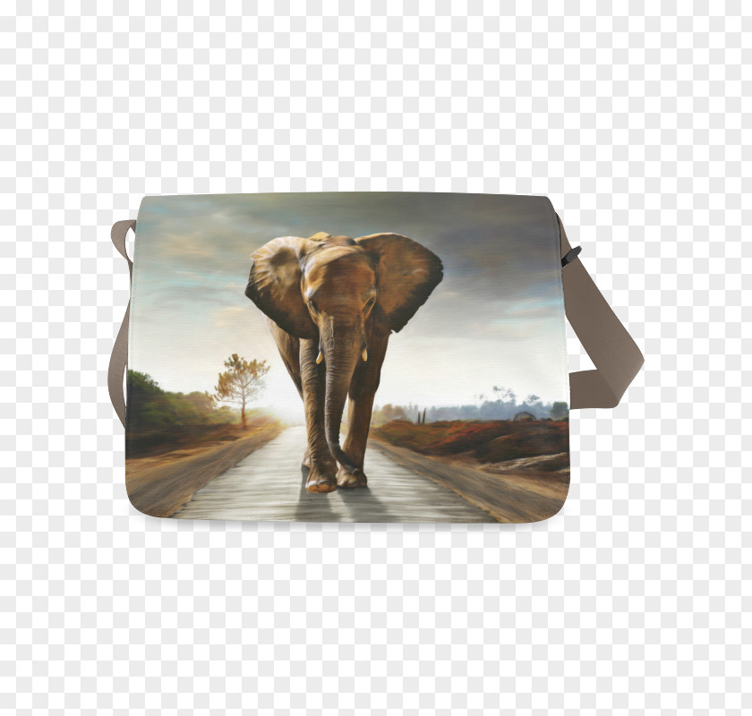 Bag Model African Elephant Elephantidae Baby Elephants Indian Douchegordijn PNG