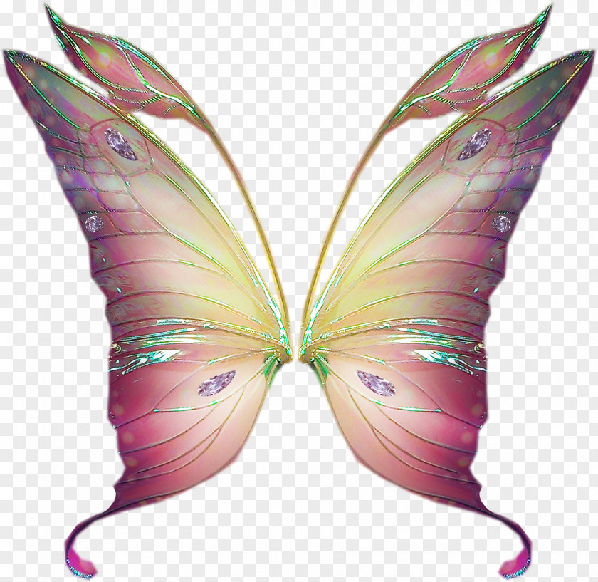 Butterflies .net .com Forumactif Moth PlayStation Portable PNG