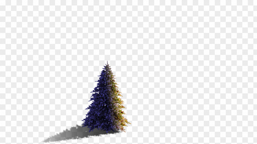 Christmas Slider Ornament Tree Spruce Meter PNG