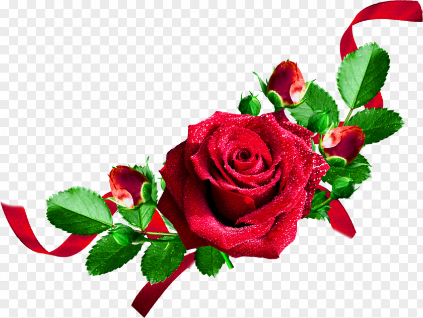 Rose Flower Clip Art PNG