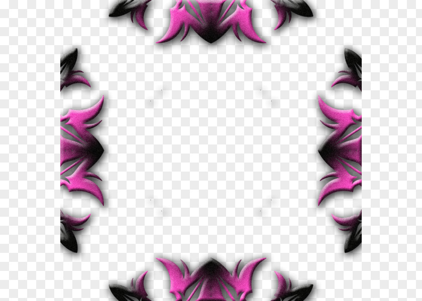 Bettle Frame Image Clip Art Graphics Stock.xchng Illustration PNG