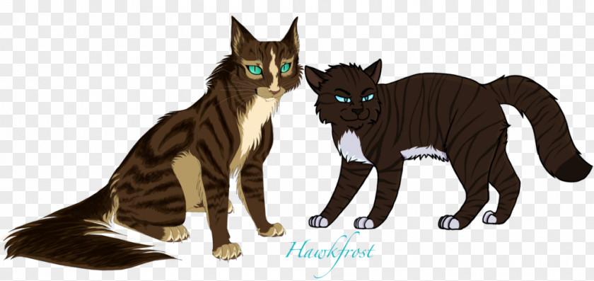 Forest Top View Whiskers Cat Warriors Hawkfrost Dovewing PNG