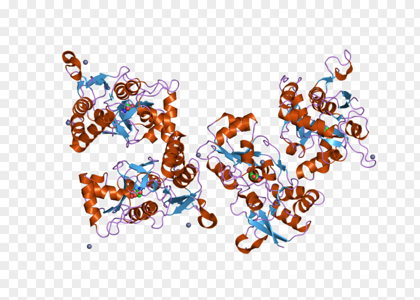 GRIA2 NOS1 Ionotropic Glutamate Receptor Nitric Oxide Synthase Ligand-gated Ion Channel PNG