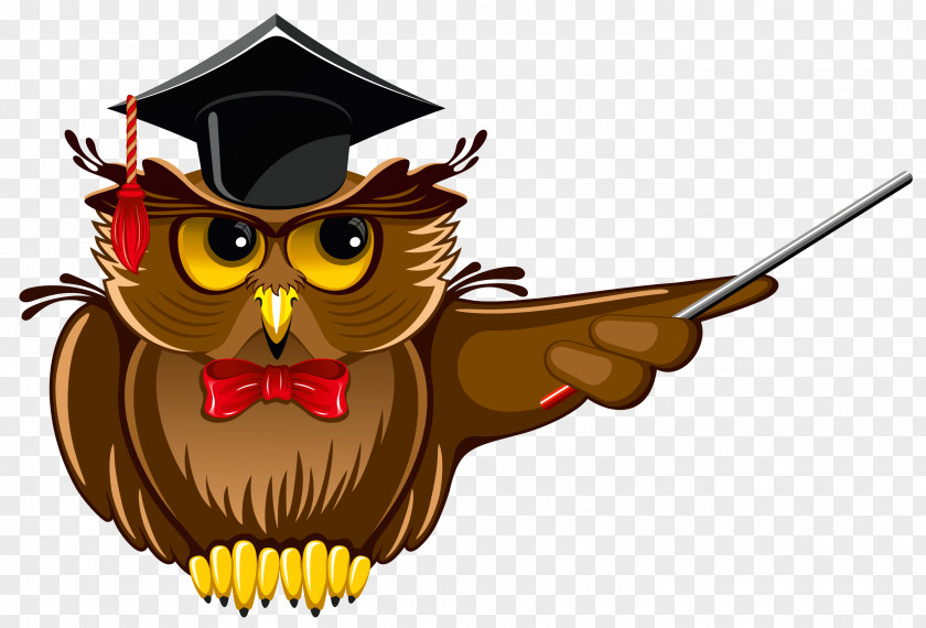 Owl Teacher Clipart Doctorate Academic Degree Doctor Of Philosophy Student University PNG