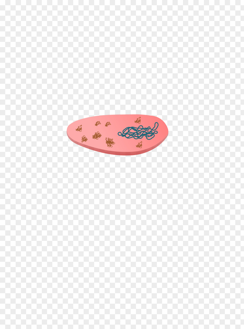 Bacteria Oval PNG