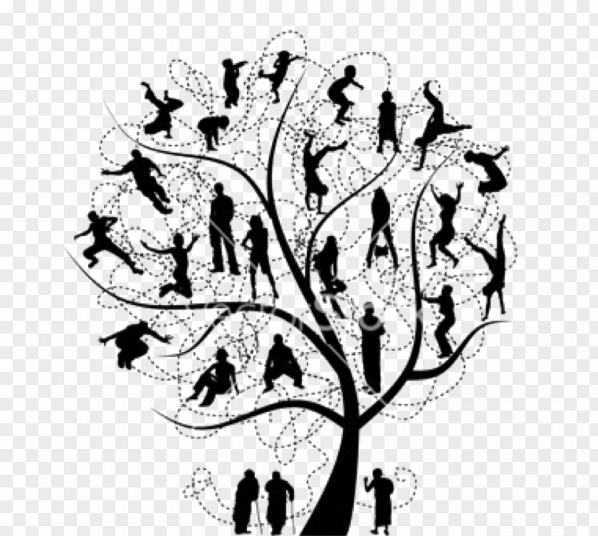 Family Tree Stock Photography Clip Art PNG