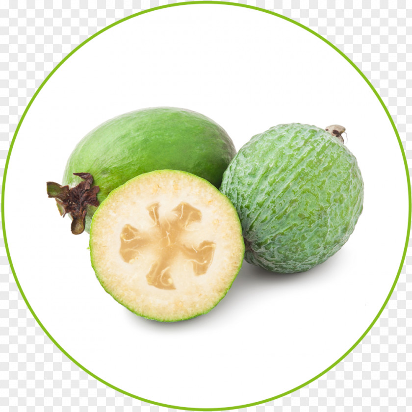 Feijoa Sapodilla Fruit Guava Food PNG