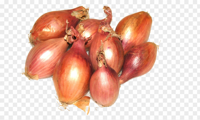 Garlic Shallot Yellow Onion Vegetarian Cuisine Red PNG