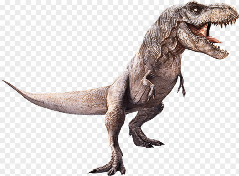 Tyrannosaurus Velociraptor Animal Figurine Science Biology PNG