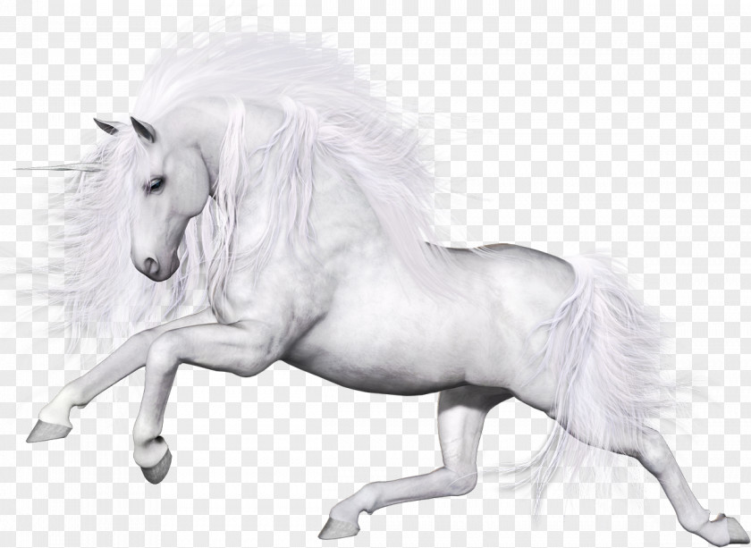 Unicorn Horse Pegasus Applejack PNG