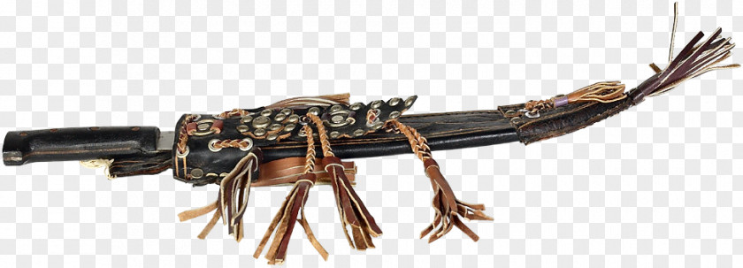 Weapon Ranged Decapoda PNG