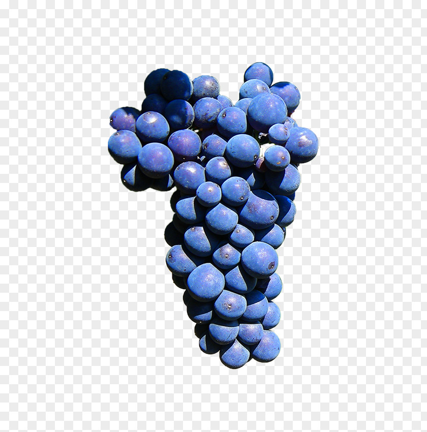 Wine Grape Nail Offida Carménère PNG