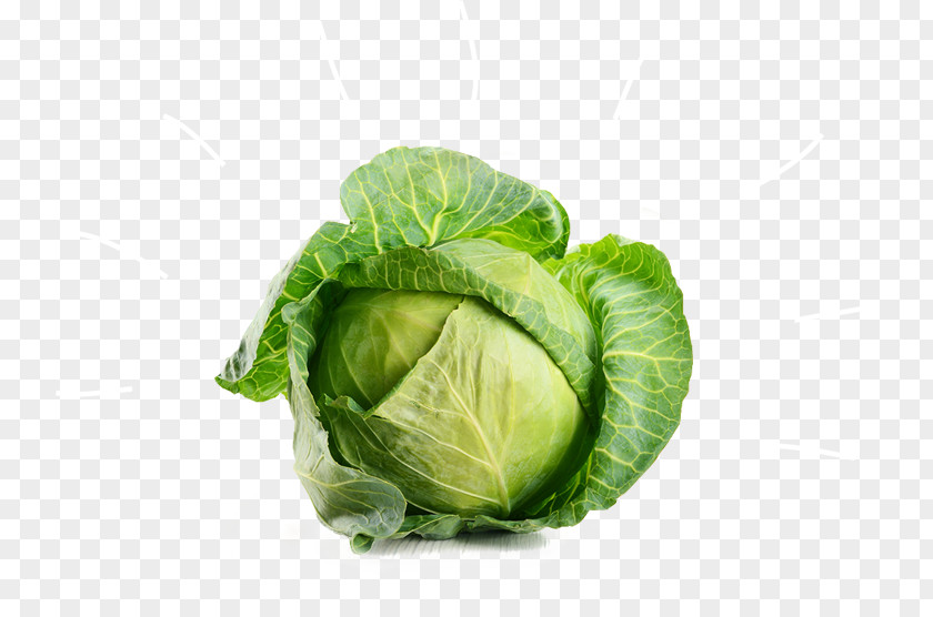 Cabbage Vegetable Broccoli Beetroot PNG