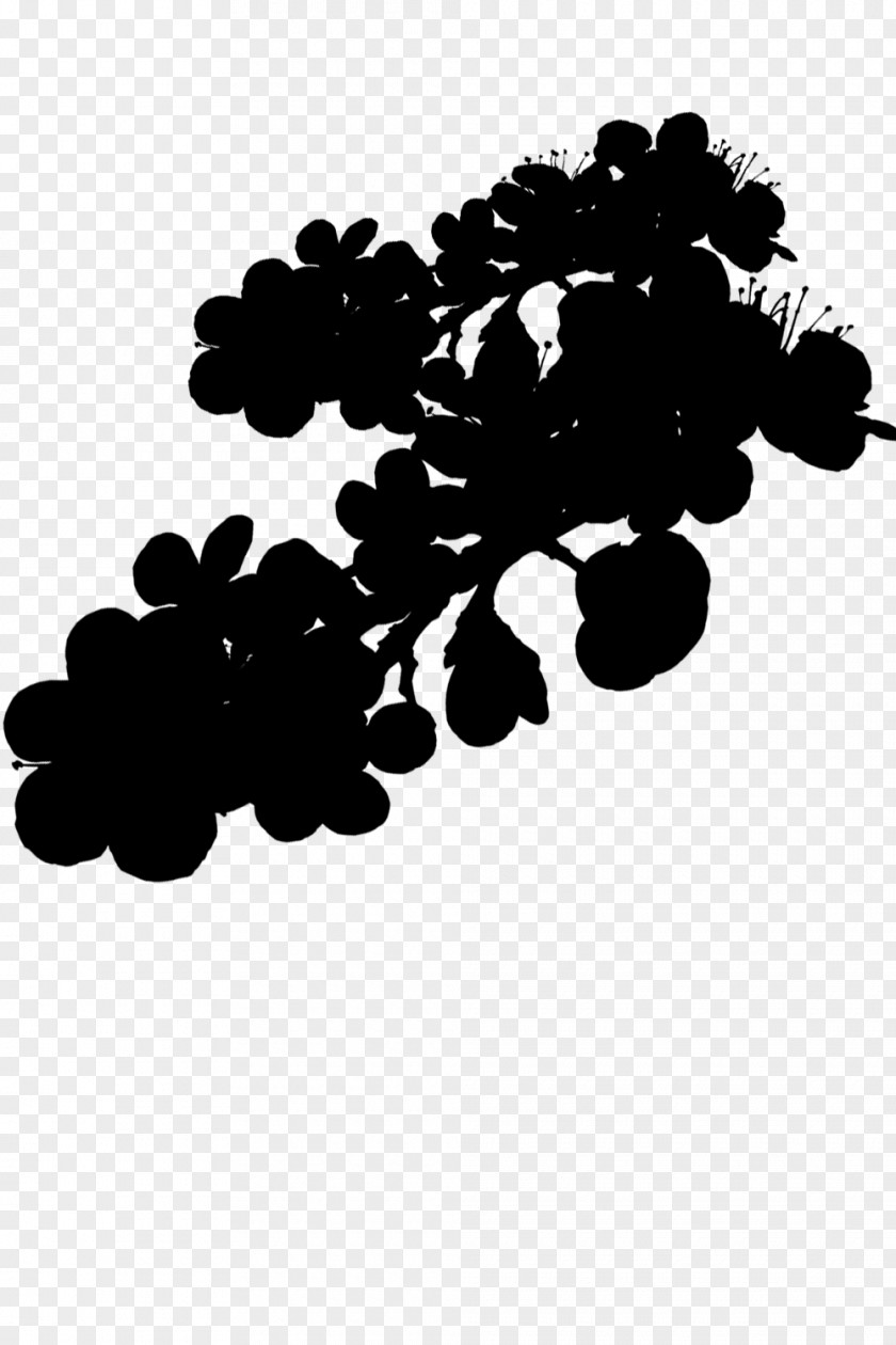 Grape Pattern Font Silhouette PNG