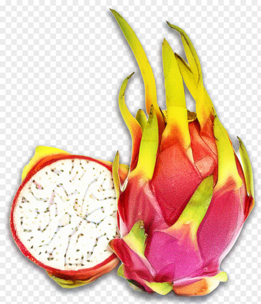 Herbaceous Plant Costa Rican Pitahaya Fruit Juice PNG