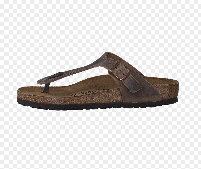 Sandal Slipper Flip-flops Shoe Mule PNG
