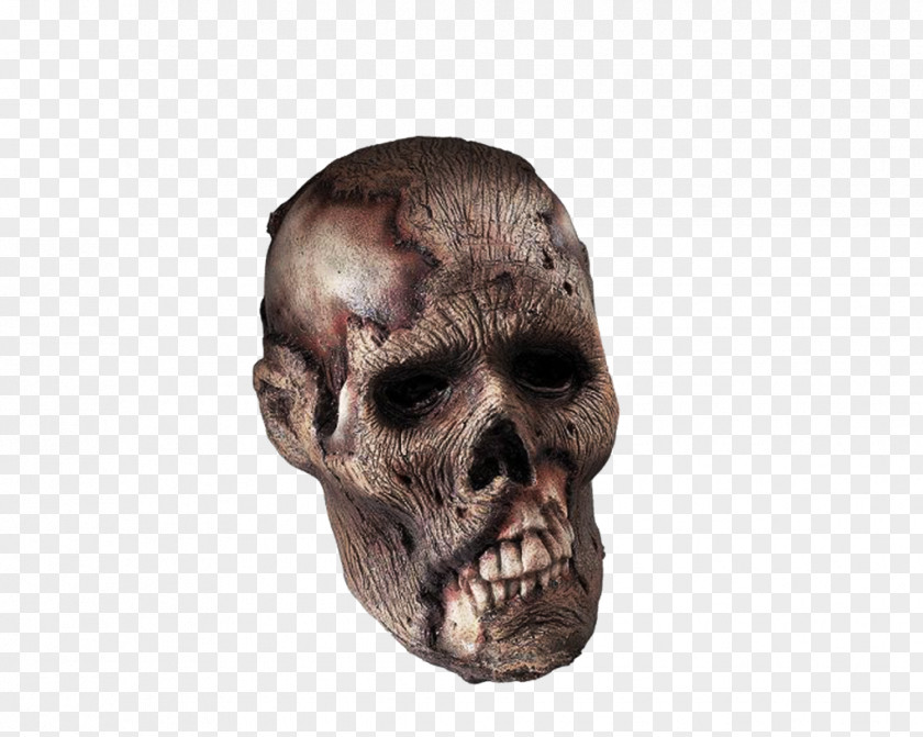 Skeleton Head Clipart Download Clip Art PNG