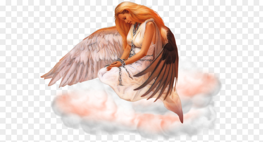 Animation Angel Desktop Wallpaper PNG